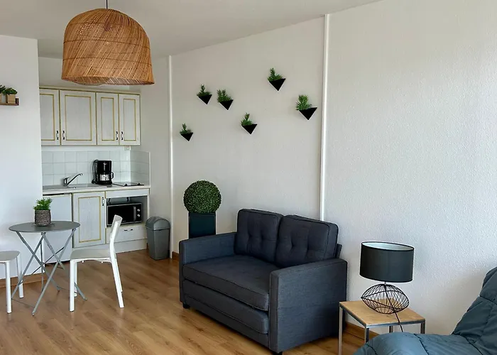 Confortable Avec Vue Mer, Animaux Acceptes - Fr-1-652-48