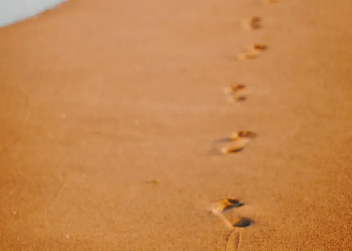 Lejlighed Confortable Avec Vue Mer, Animaux Acceptes - Fr-1-652-48 Saint-Jean-de-Monts