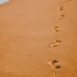 شقة Confortable Avec Vue Mer, Animaux Acceptes - Fr-1-652-48 سان جان دي مونت