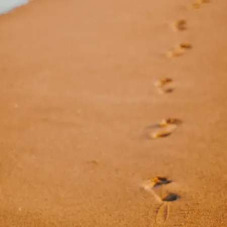 דירה Confortable Avec Vue Mer, Animaux Acceptes - Fr-1-652-48 סן ז'אן דה מון