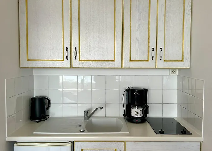 Apartman Confortable Avec Vue Mer, Animaux Acceptes - Fr-1-652-48 *