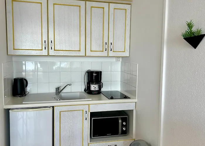 Apartman Confortable Avec Vue Mer, Animaux Acceptes - Fr-1-652-48 Saint-Jean-de-Monts