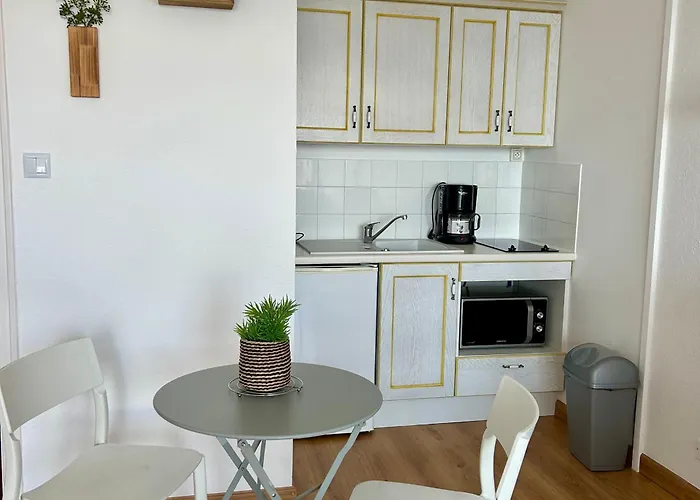 Confortable Avec Vue Mer, Animaux Acceptes - Fr-1-652-48 *