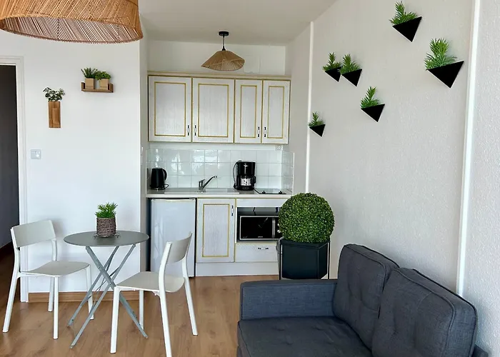 Face Avec Animaux Acceptés - Fr-1-652-48 Saint-Jean-de-Monts