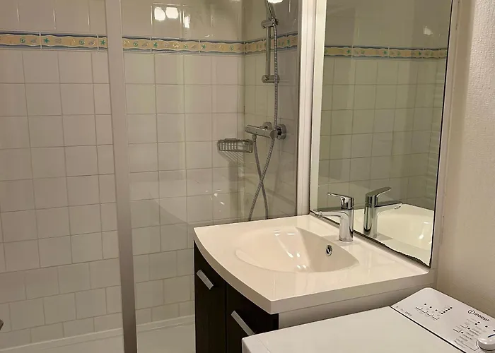 Confortable Avec Vue Mer, Animaux Acceptes - Fr-1-652-48 * Saint-Jean-de-Monts